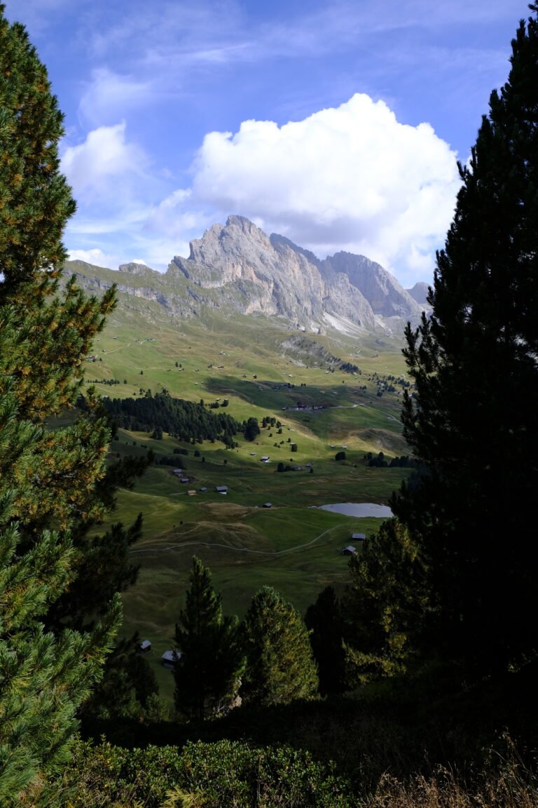 Seceda