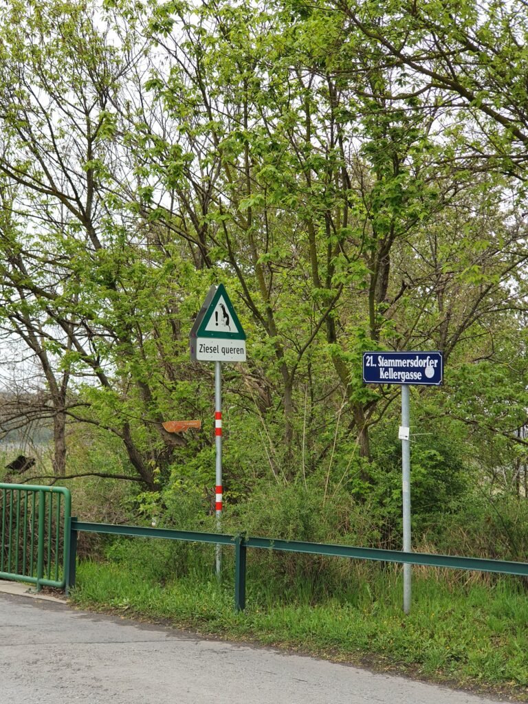 Stadtwanderweg 5-Bisamberg