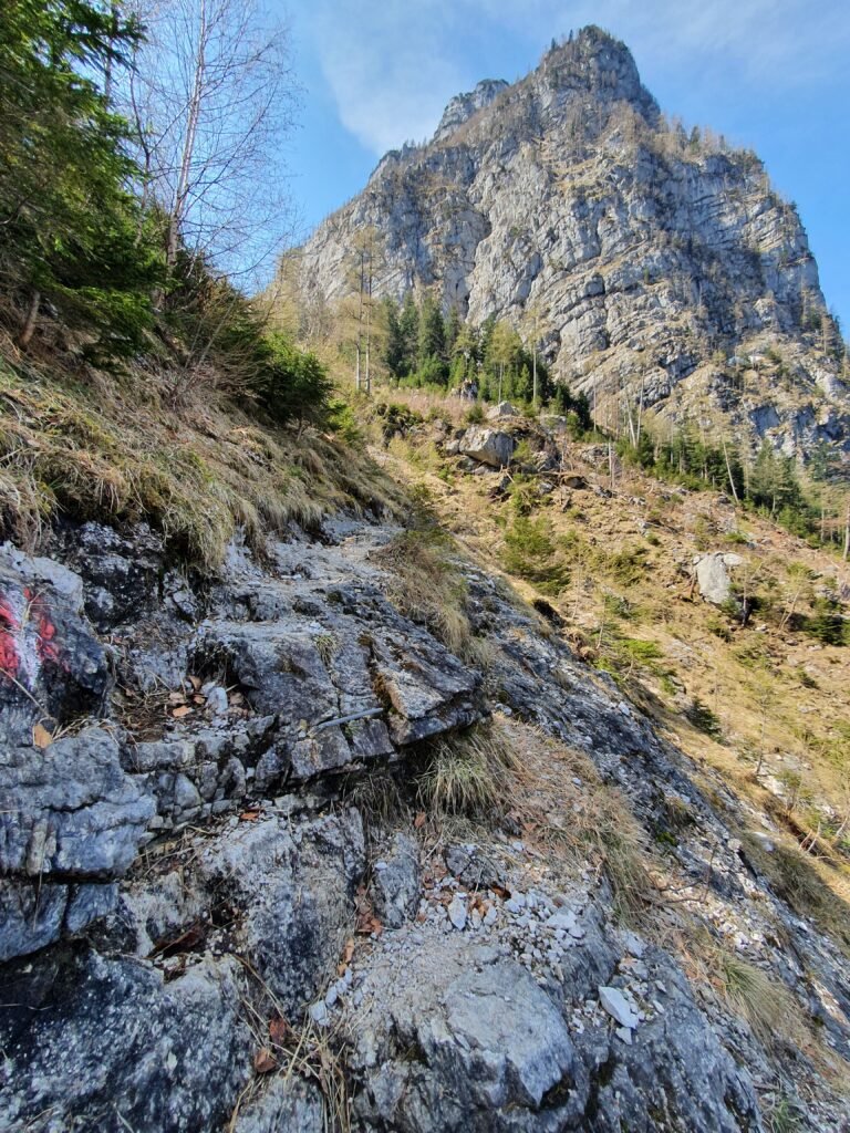 Ebenseer Hochkogel