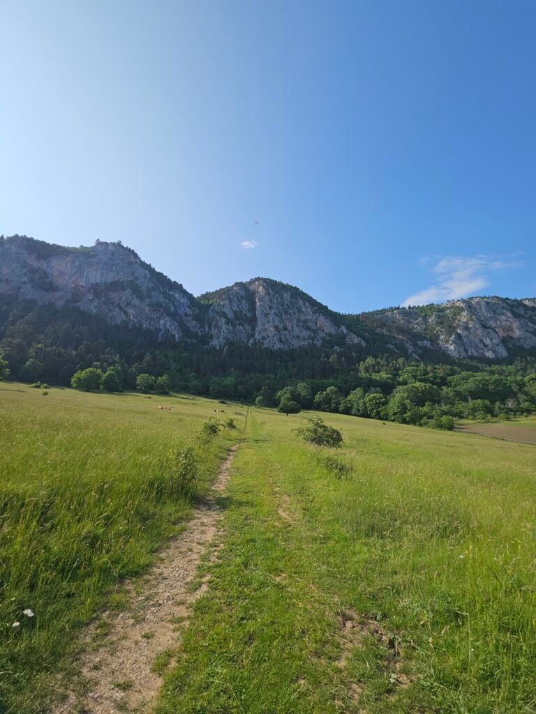 Leitergraben-Völlerin