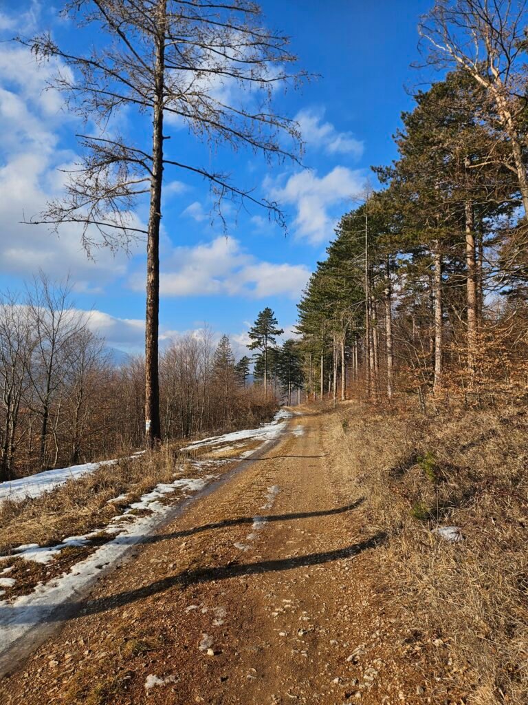 Über die Flatzer Wand – Von Ternitz nach Grünbach