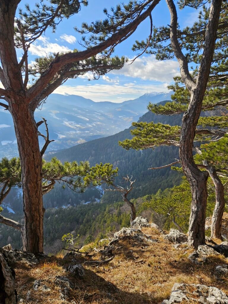 Über die Schwarzenberg-Aussicht