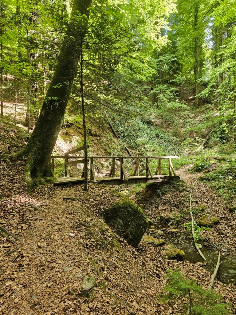 Altenbachklamm