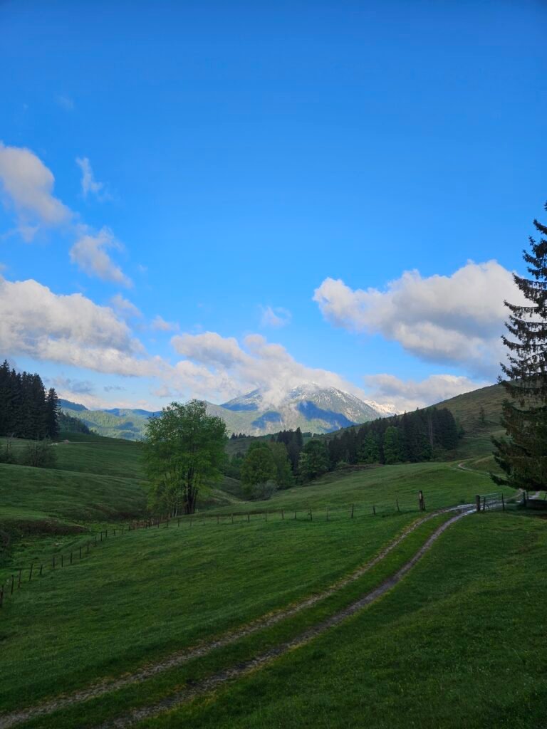 Raming-Runde